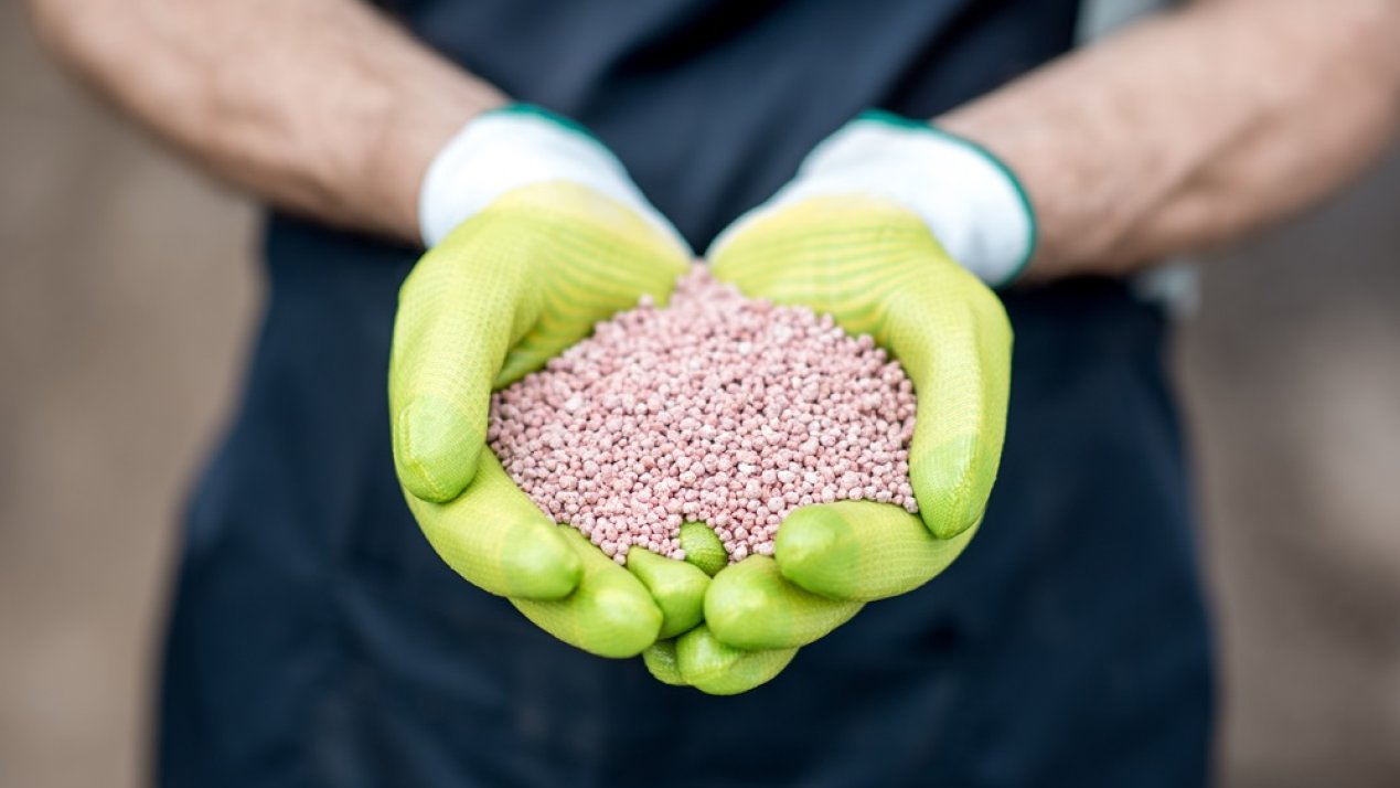 SADER Delivers 149,500t of Fertilizers to Small-Scale Farmers