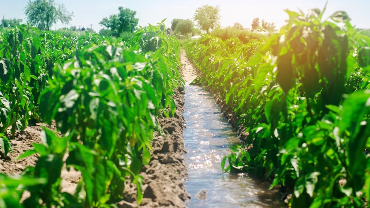 National Irrigation Modernization Program Advances 