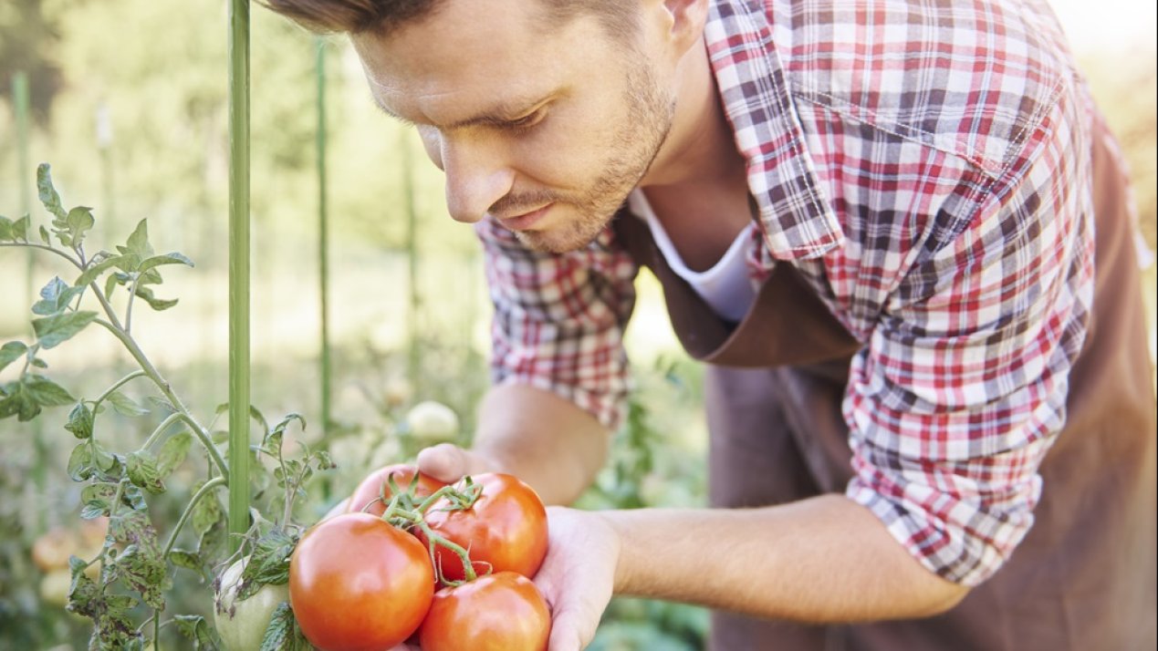 Finka Partners with Source.ag to Enhance Greenhouse Operations