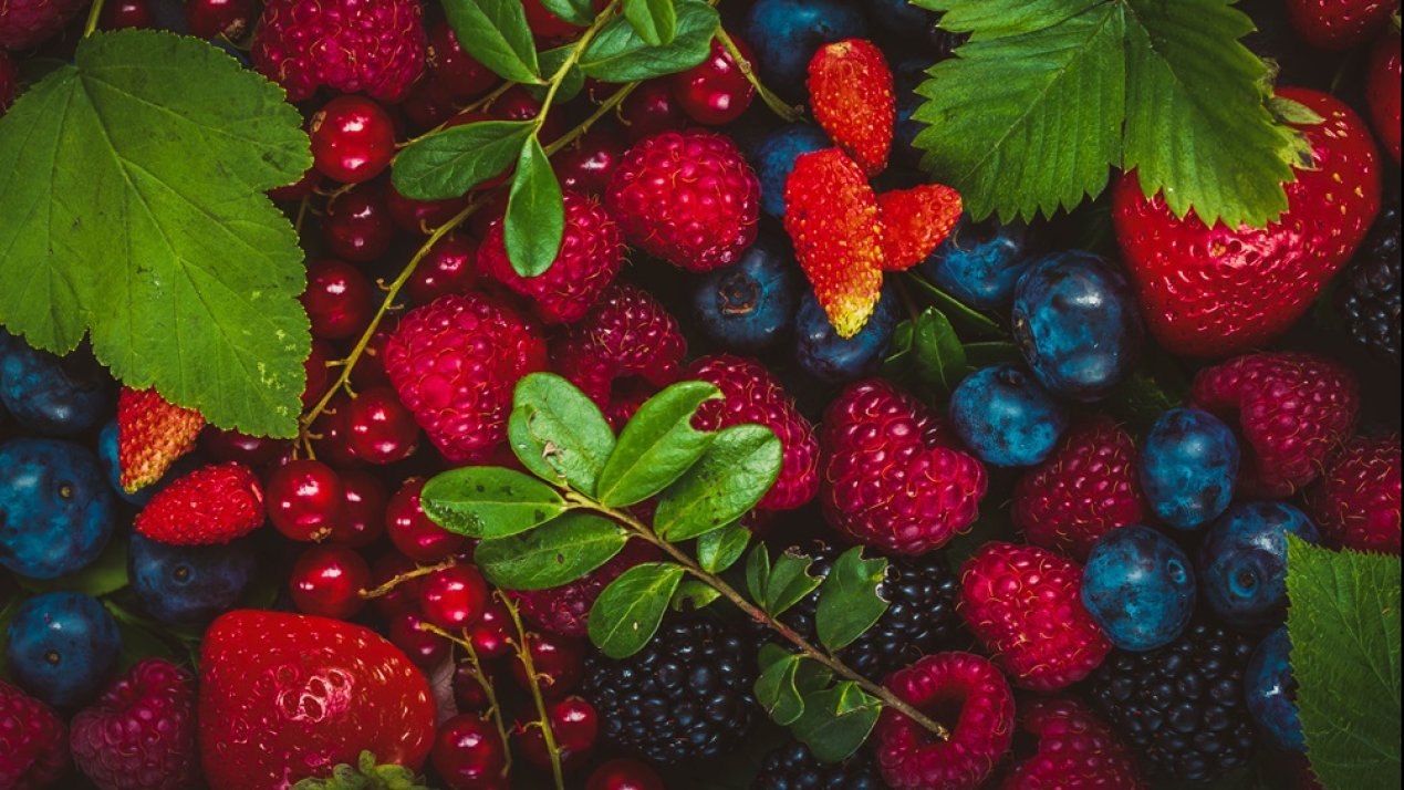 Mexican Berry Exports Grow as Demand for Healthy Foods Increases