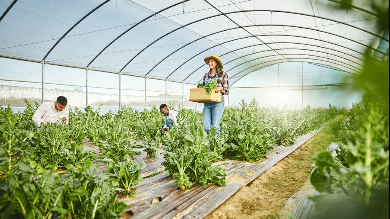 Green Tech Americas Drives Innovation in Agriculture