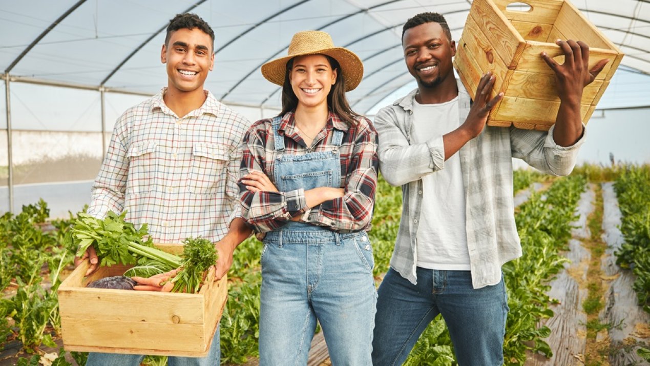 Jalisco to Boost Agricultural Profitability, Youth Employment