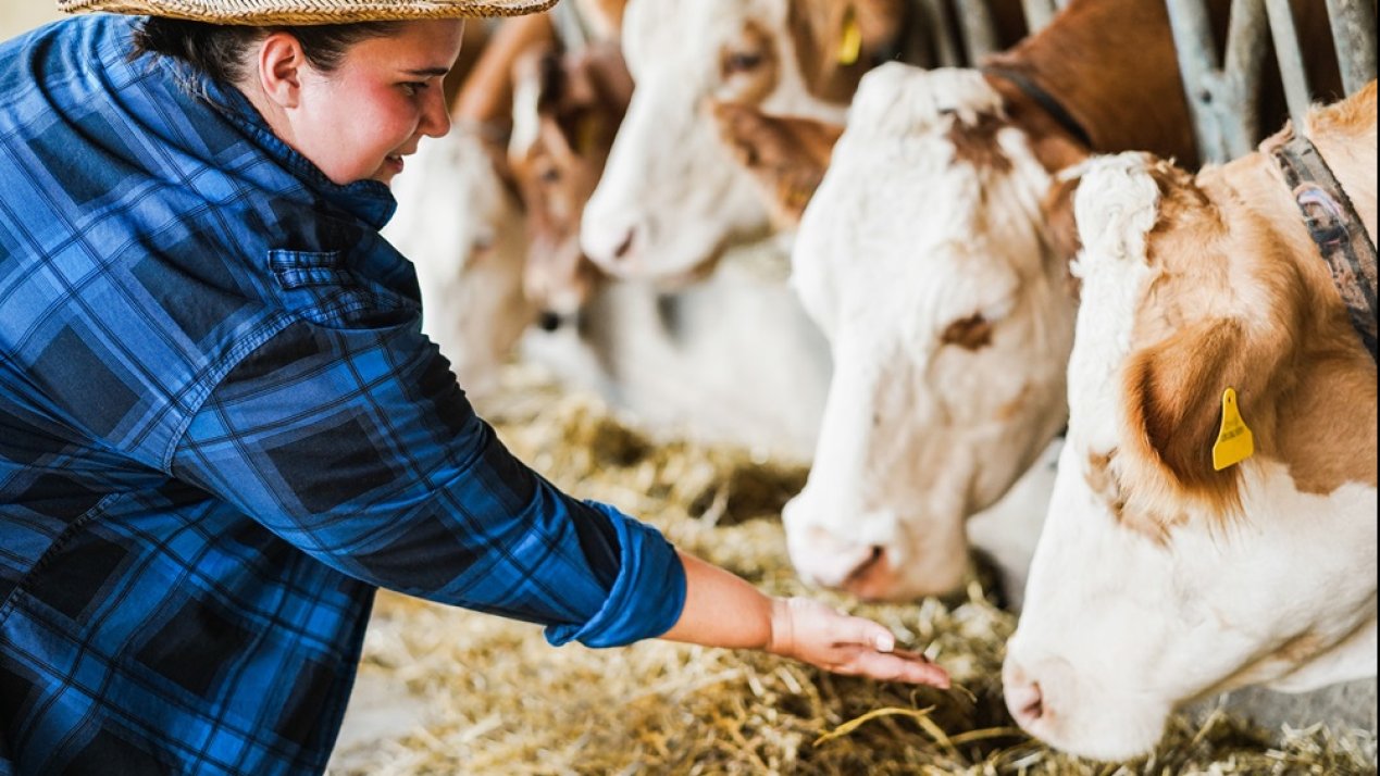 Mexico Highlights Livestock Sector's Role in Food Security