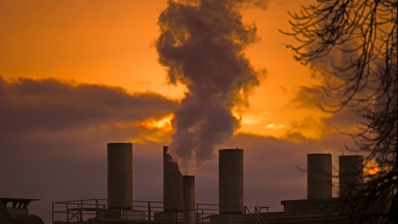 The High Cost of Air Pollution: World Bank