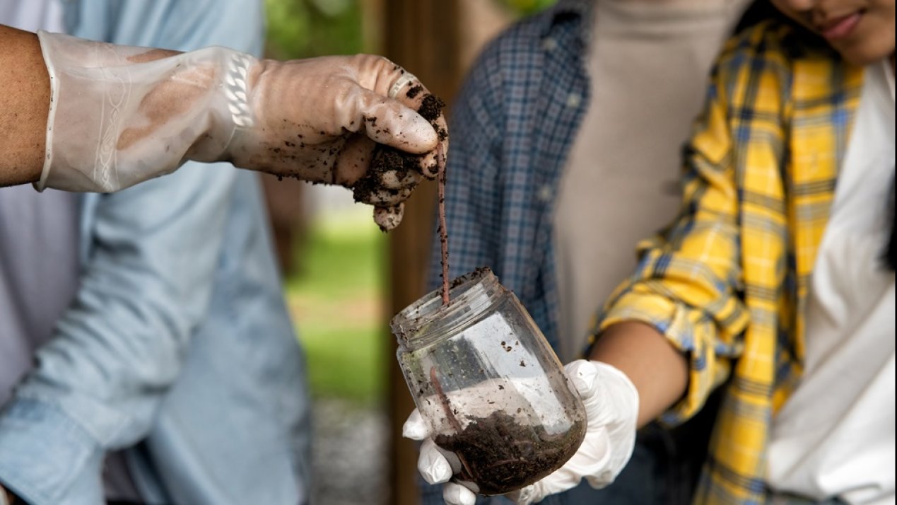 Mexico Eyes Regulation as Bioinputs Market Gains Ground