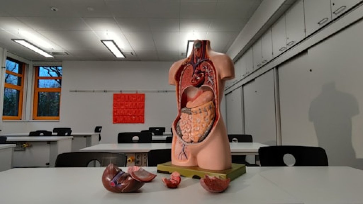 INSP Unveils New Graduate Model to Address Public Health Needs