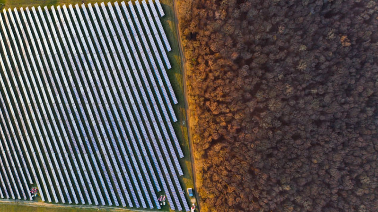 Energy Program to Subsidize 72,000ha in Baja California