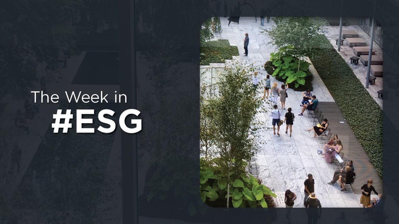 Environmental Spending, Sustainability Initiatives