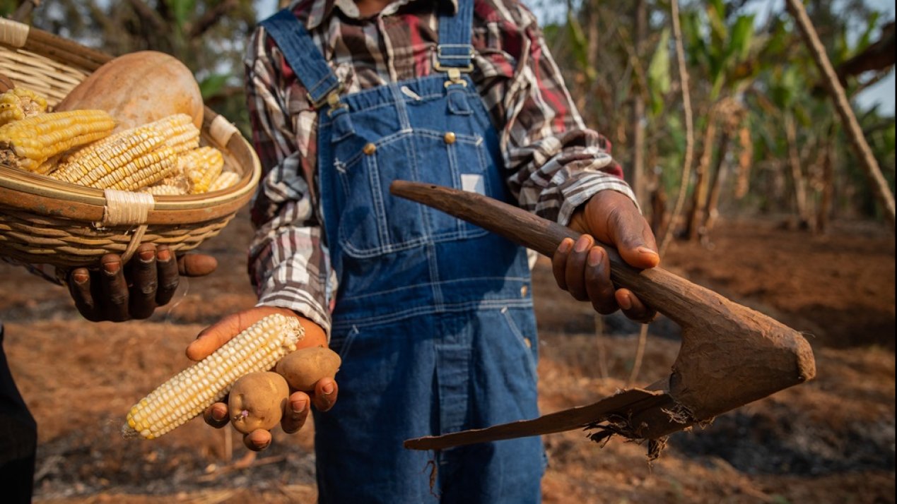 Cooperatives' Role in Latin America's Food Systems