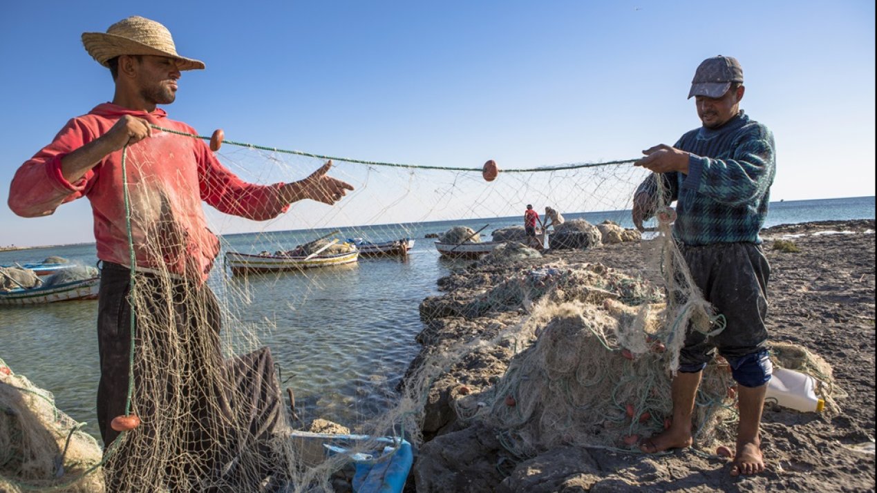 FAO Hosts Training to Boost Resilience in Small-Scale Fisheries