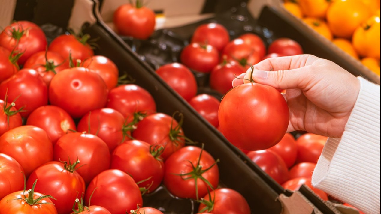 Mexico, US Seek Agreement in Tomato Trade Dispute