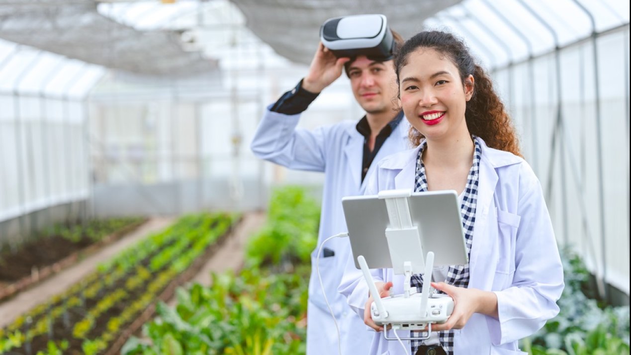 Chapingo Launches AI Degree to Transform Agriculture