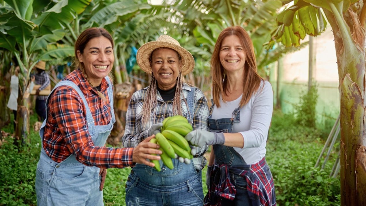 FAO Highlights Gender Gaps in Latin America's Agri-Food Systems