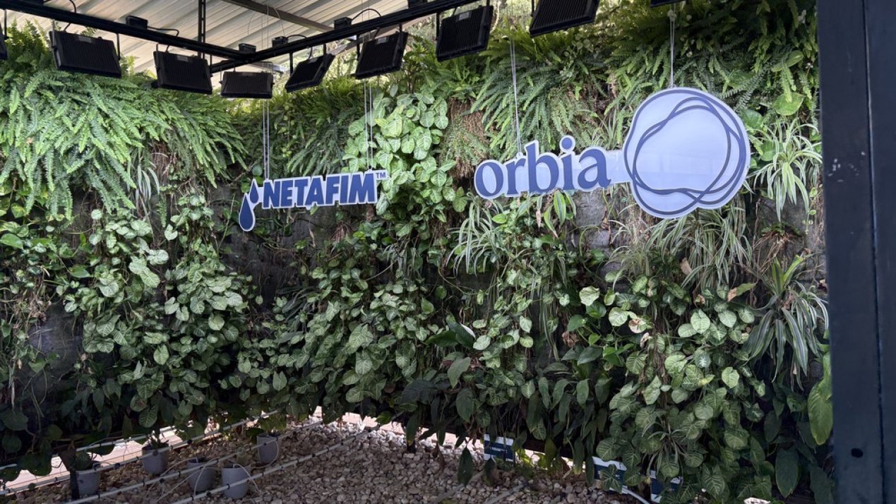 From Kibbutz to Fields: 60 Years of Drip, Mexico’s Opportunity