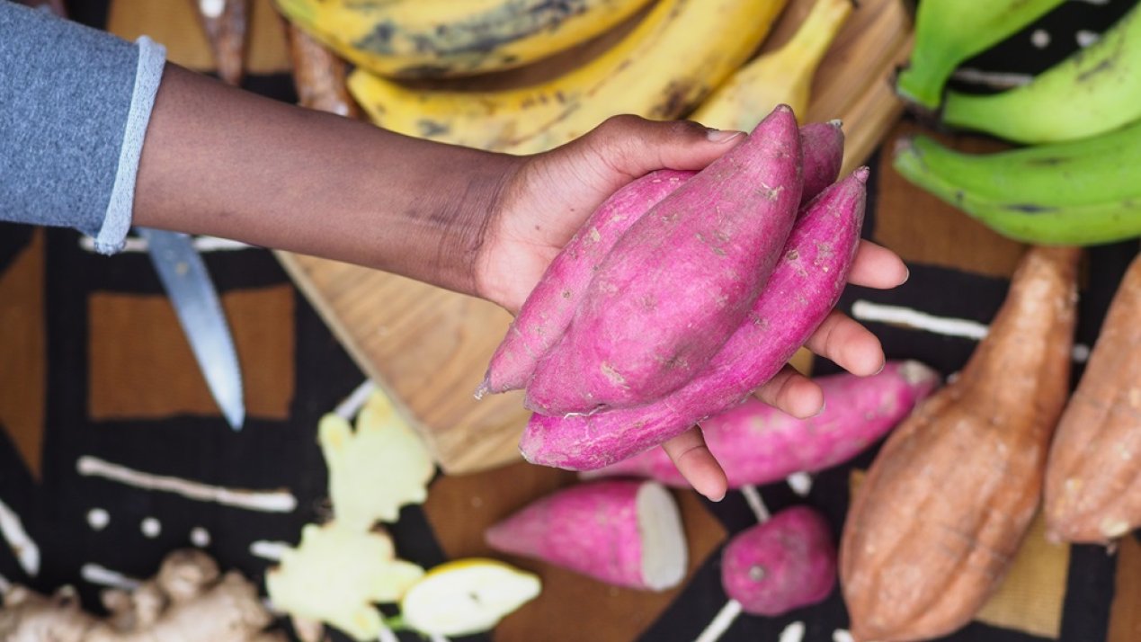 FAO Calls for Integrated Transformation of Food Systems 