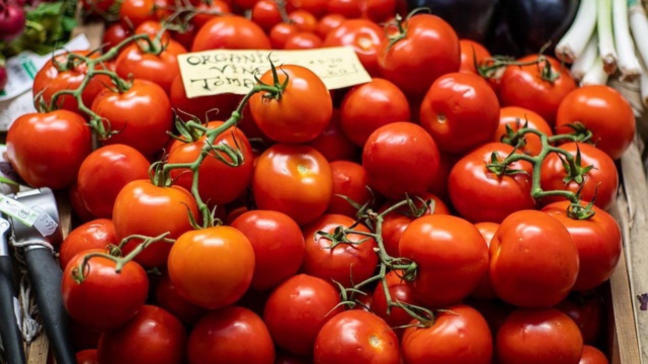 Mexico Highlights Production Advances on World Food Safety Day