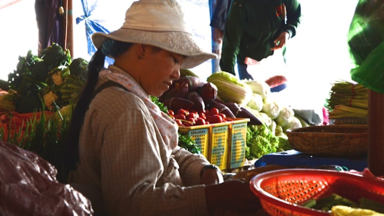 ILO Data Highlights Role of Non-Market Food Producers