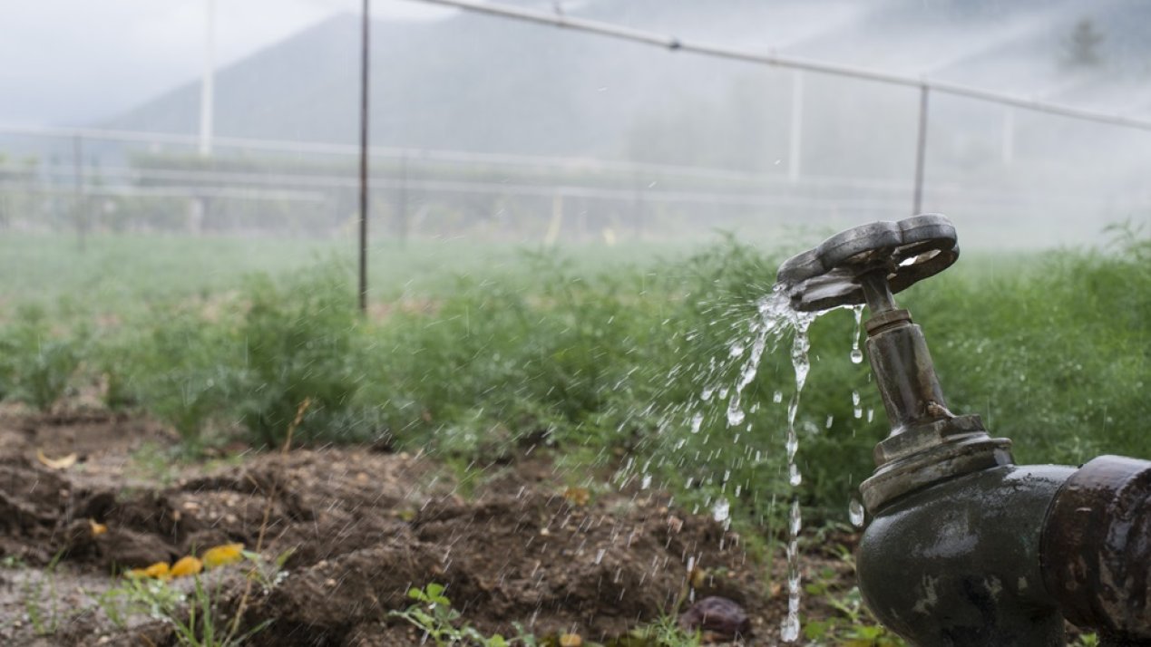 Google Funds Arable’s Irrigation Tech to Save Water in Carolinas