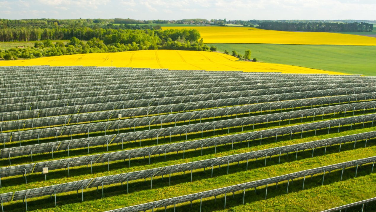 Agrivoltaics show promise for drought-prone regions