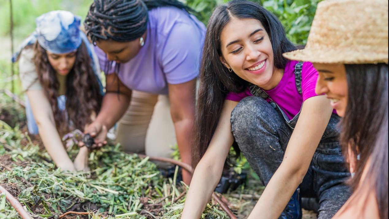Quintana Roo to Host Mexico’s First Regenerative Community