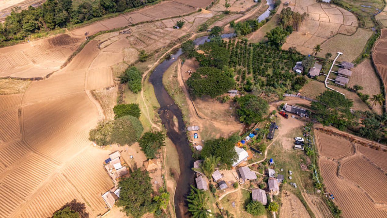 Sembrando Vida, Mexinol Partner for Sinaloa Rural Development