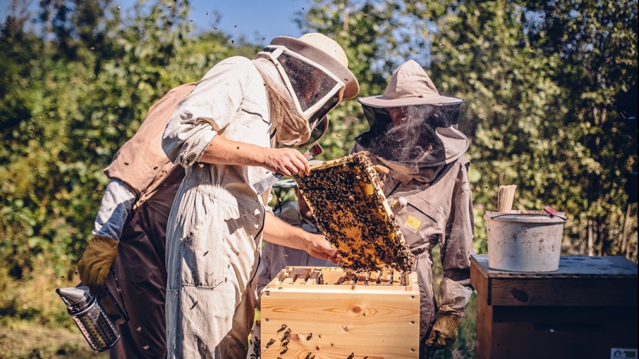 State of Mexico Recognizes Beekeepers for Good Practices