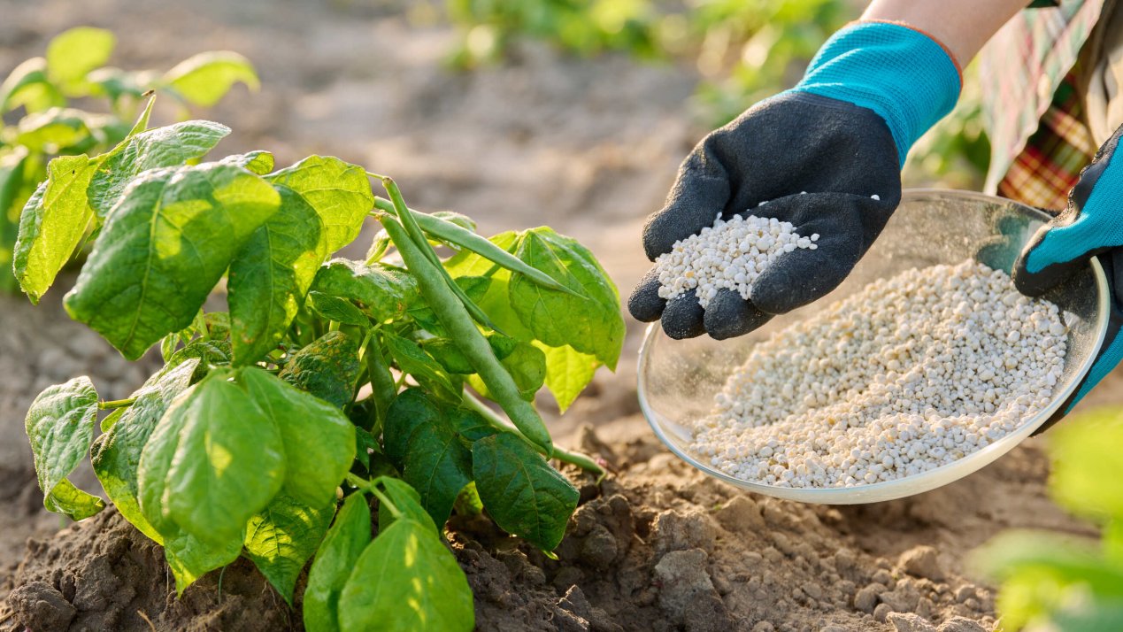 PEMEX Advances Escolín Fertilizer Plant With SEMARNAT Filing