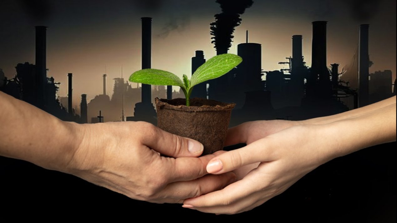 Microsoft to Buy 1.1Mt of Carbon Credits From Hafslund Celsio