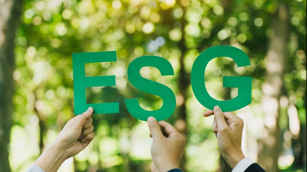 FEMSA Releases 2024 Sustainability Report