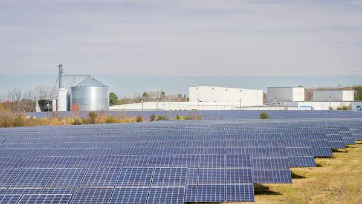 Balam Secures US$15 Million in Refinancing for Solar Plants