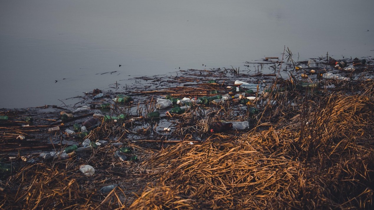 Mexico Launches App to Monitor Seawater Quality at Beaches