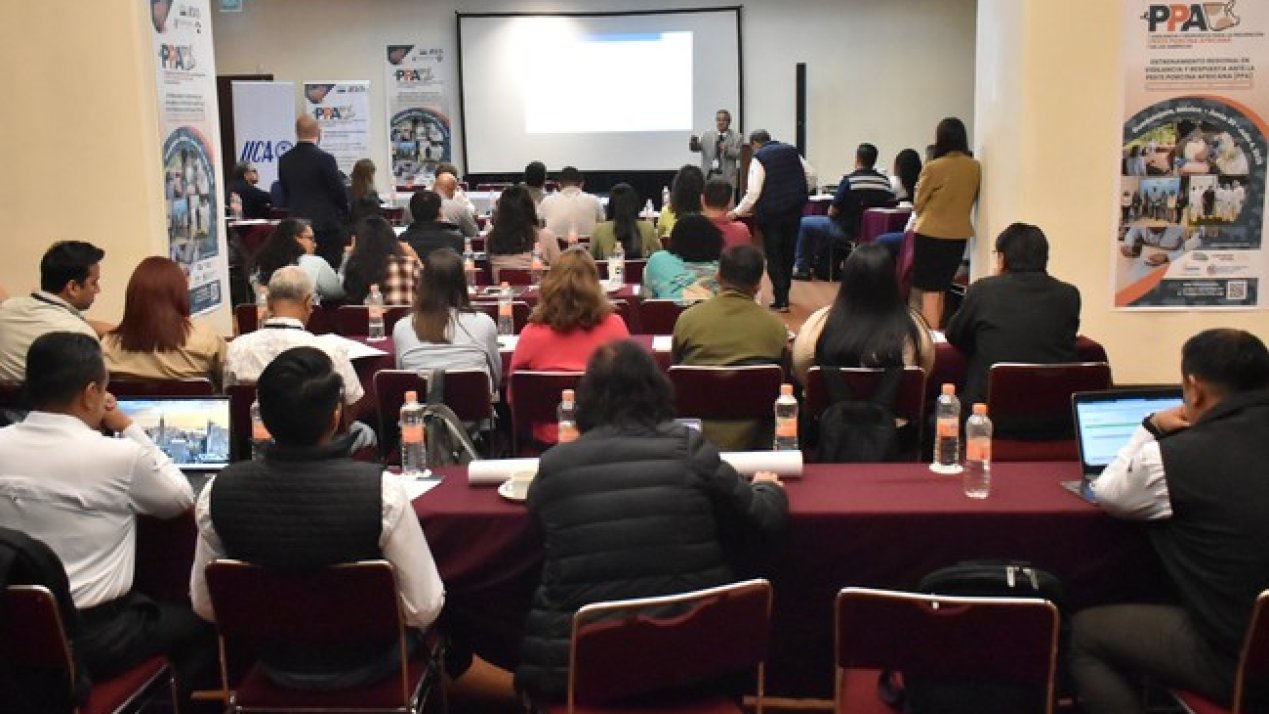 Regional Training Improves Swine Disease Response