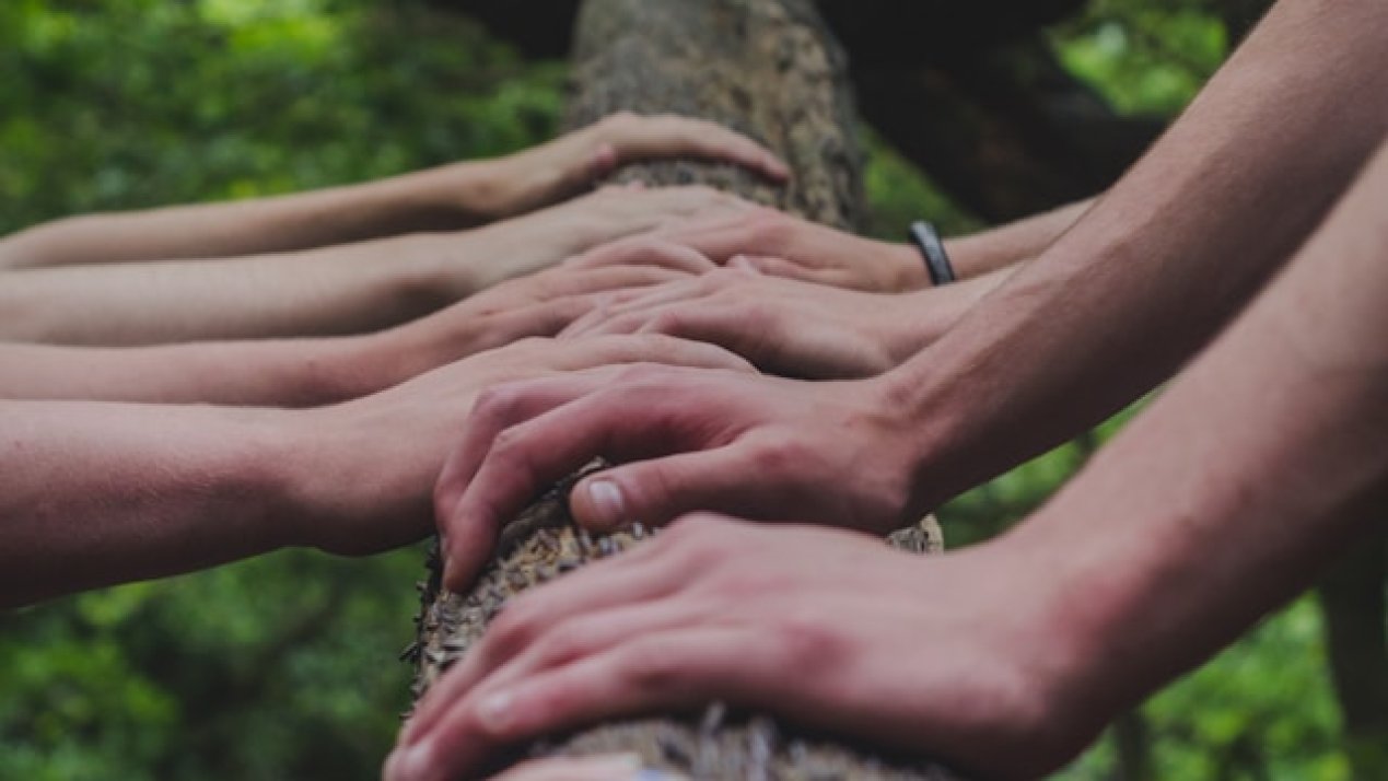 CSR Creates Social Capital, Enhances Brand Reputation: inDrive