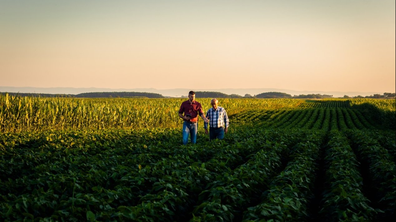 FAO Fosters Sustainable Agrifood Systems Through Family Farming