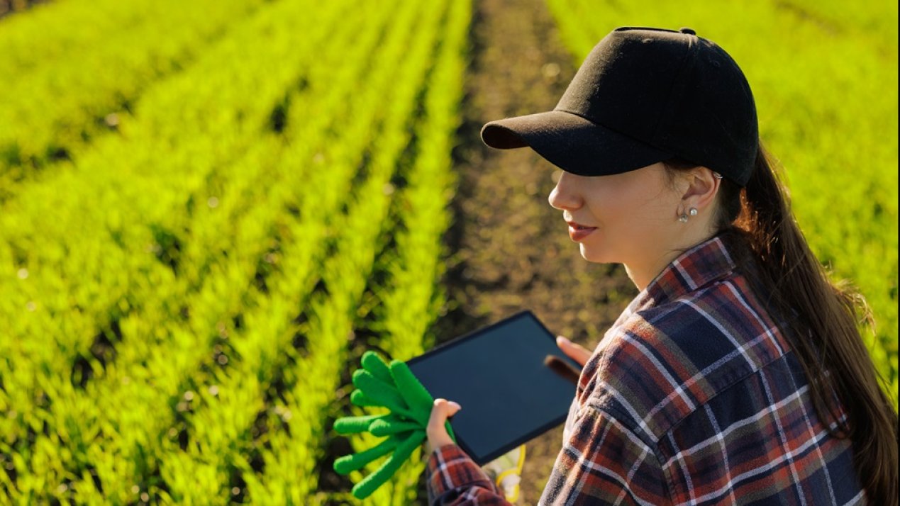 Satellite IoT Drives Digital Agriculture in Mexico