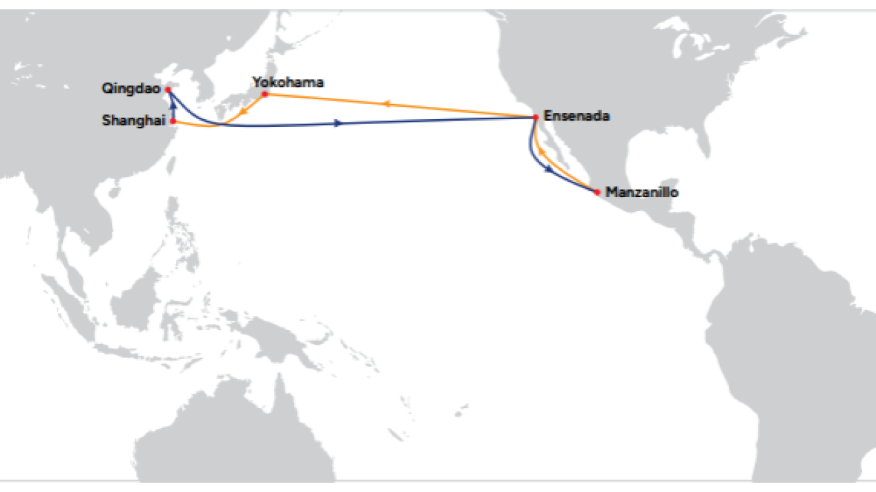 OOCL Launches TLP8 to Speed Up Asia–Mexico Trade