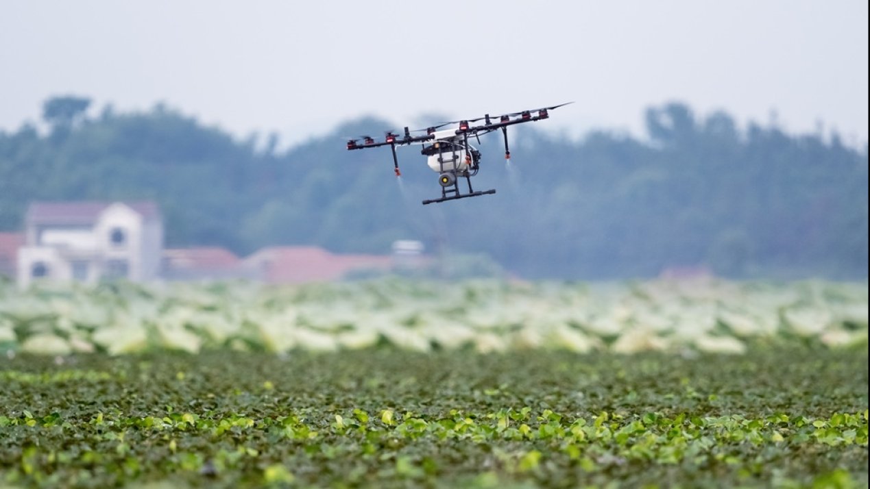 Drones Propel Rapid Growth in Mexican Agriculture