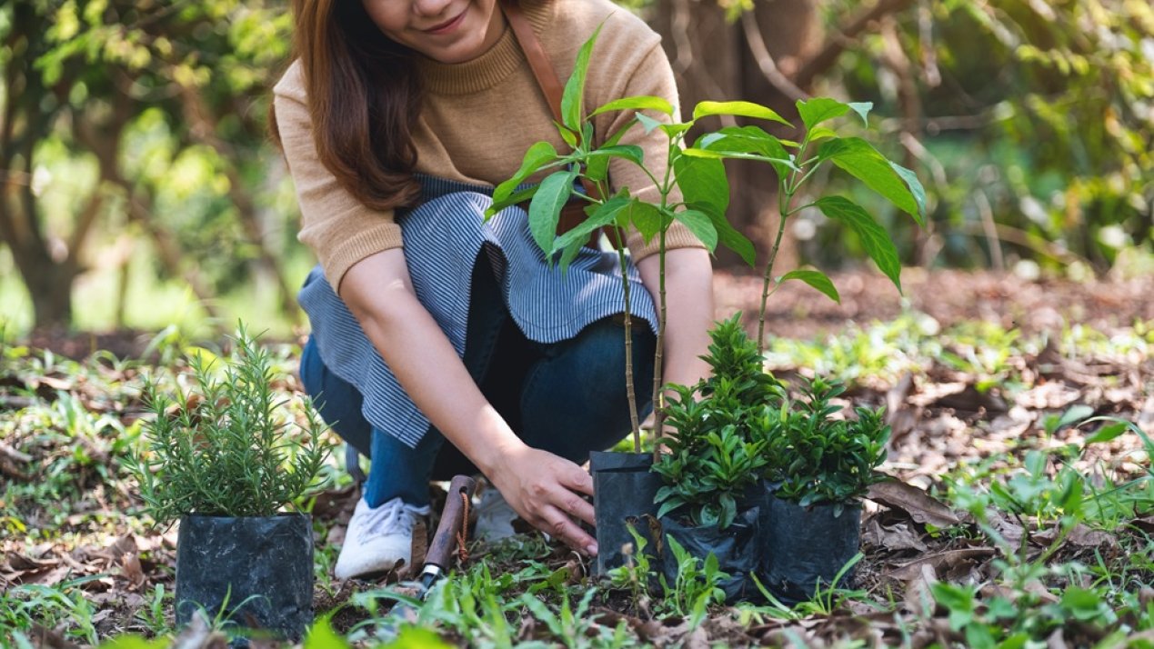 Mexico City Advances in Restoring the Bosque de Agua 