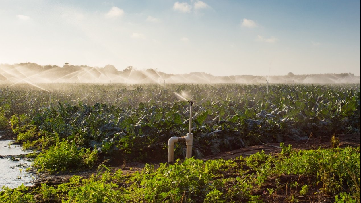 CONAGUA Advances Irrigation Modernization