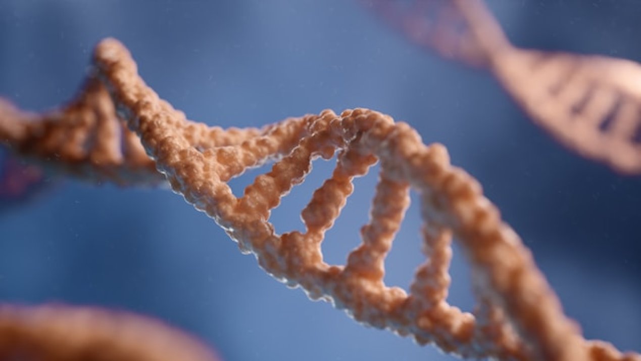 Personalized Medicine: A Potential Ally of Mexico’s Health System