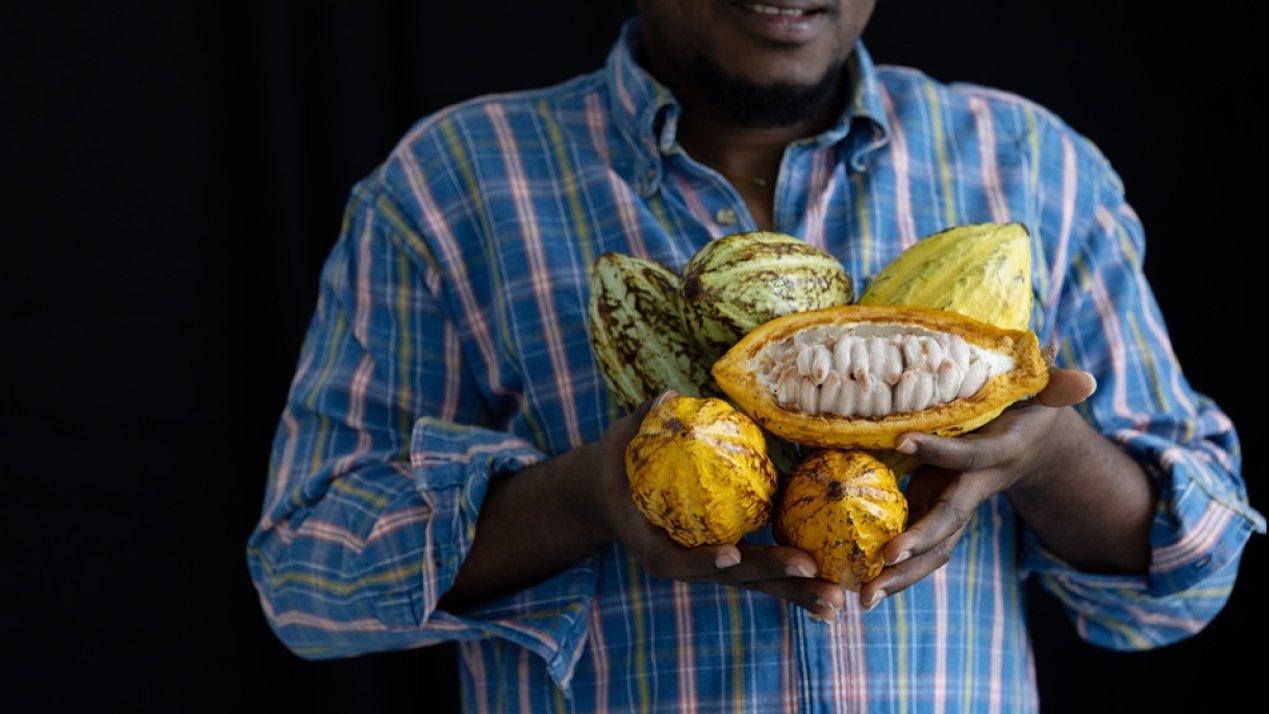 Nestlé Develops New Cocoa Technique as Prices Stay Volatile