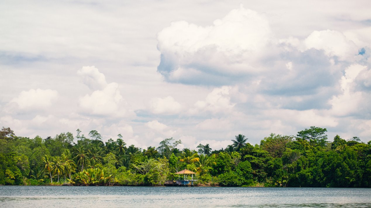 Siemens Energy Launches Amazon Education Program