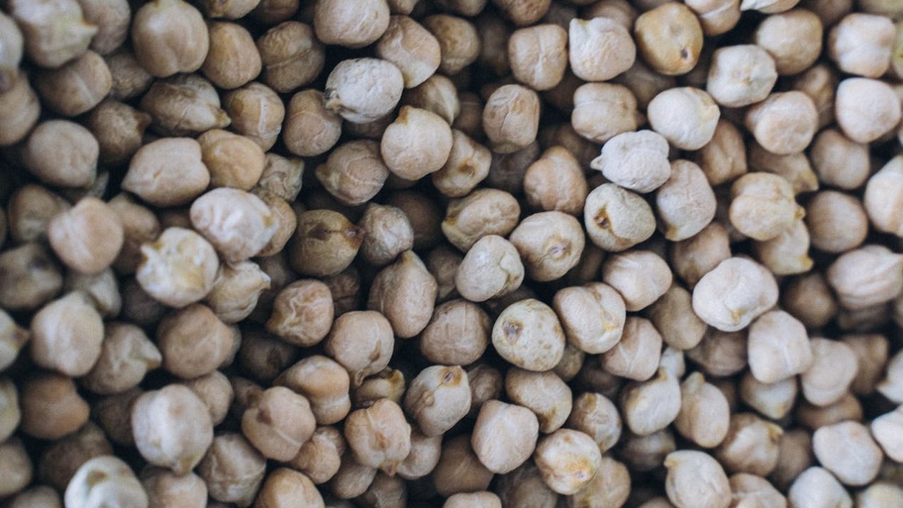 CIMMYT, INIFAP Discuss Climate and Crop Alternatives