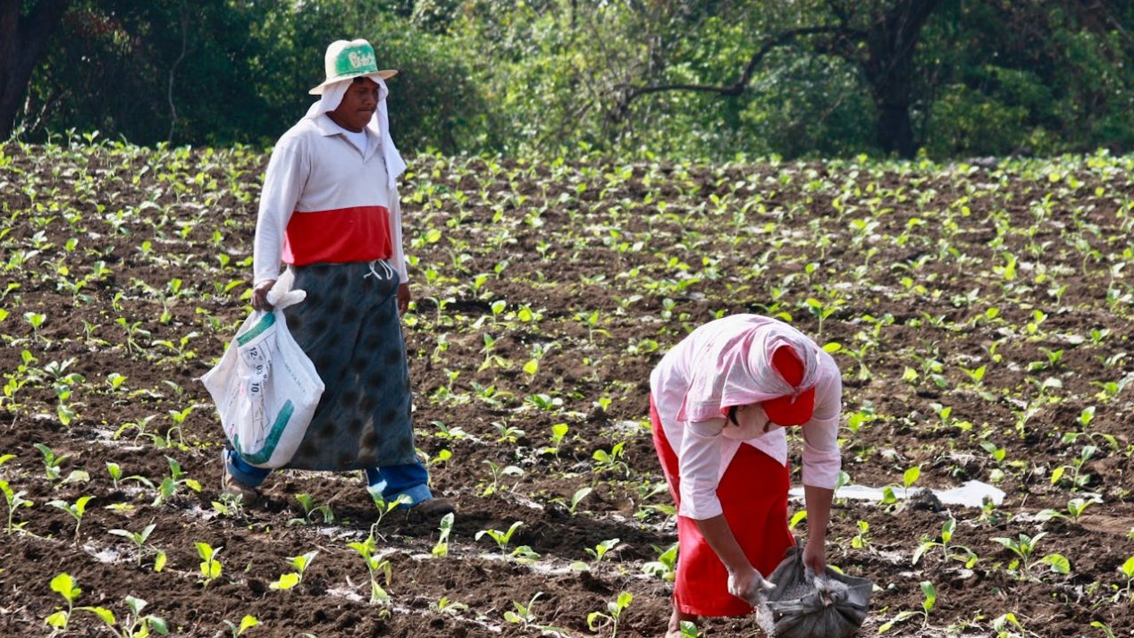Mexico-Germany Project Helps 4,200 Farmers Go Sustainable