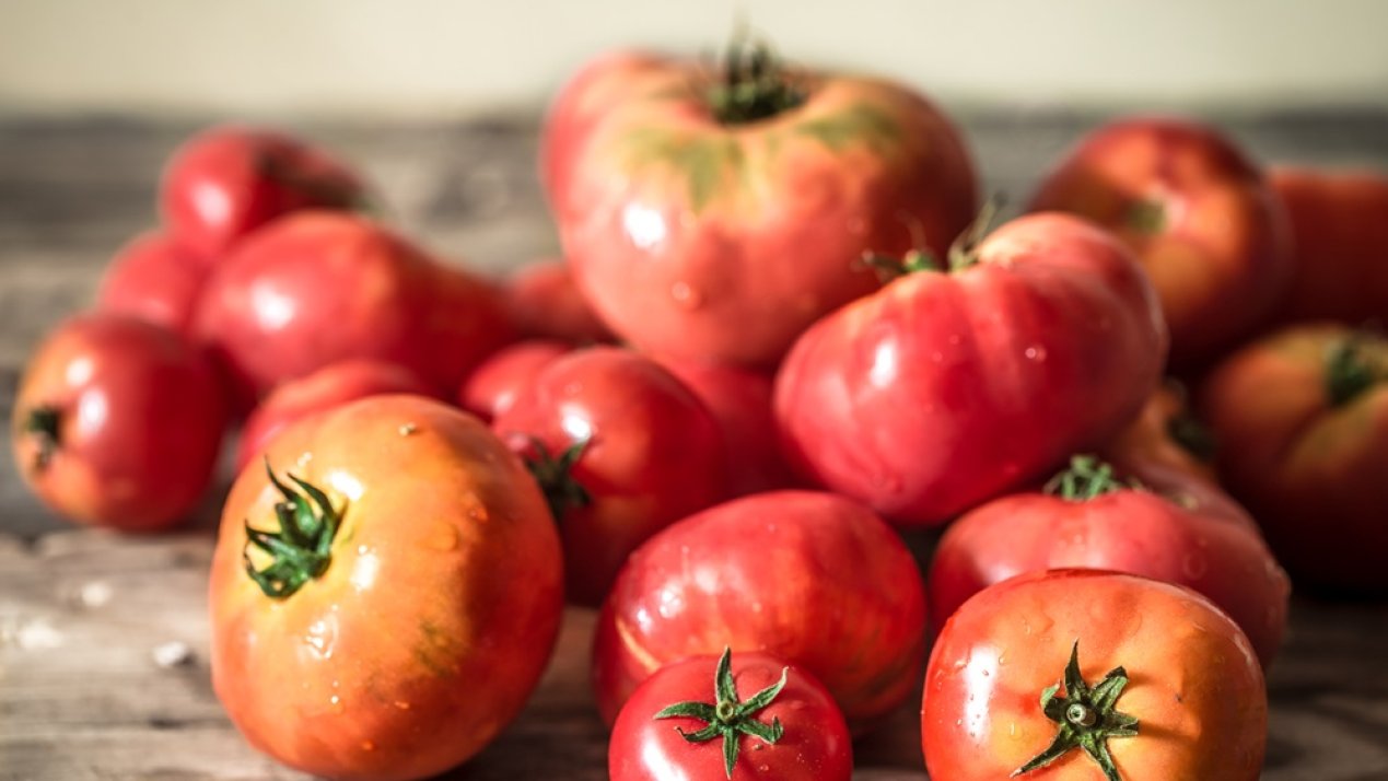 Mexico Sets Minimum Export Prices for Fresh Tomatoes