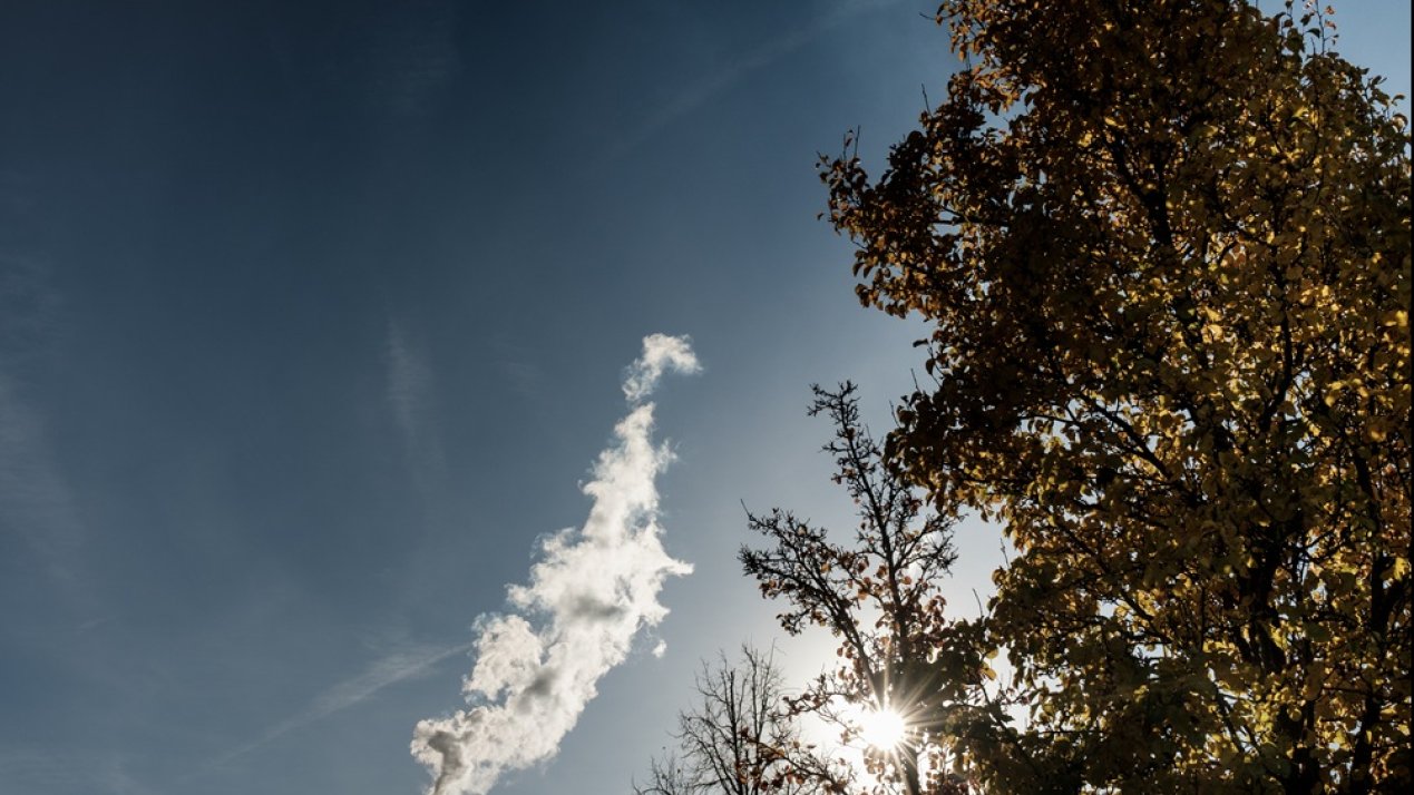 Mexico’s Emissions Trading Committee Holds First Session