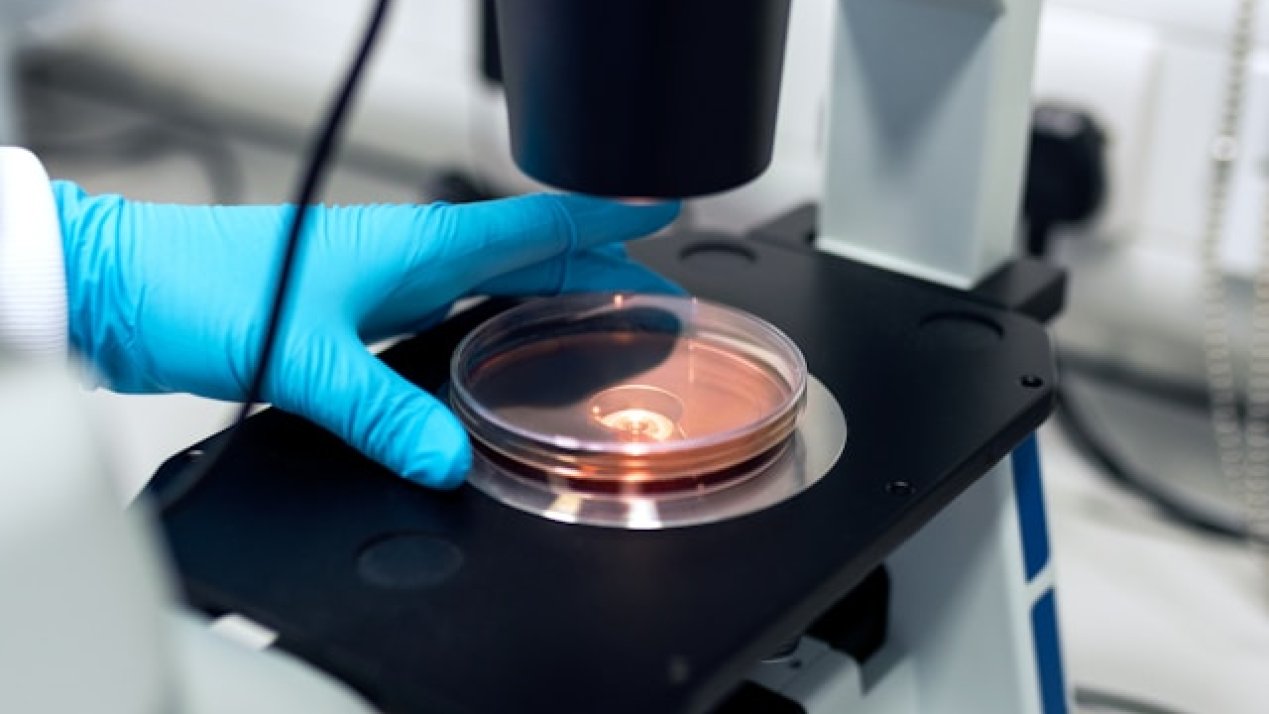 Pew Program Funds Latin American Biomedical Scientists