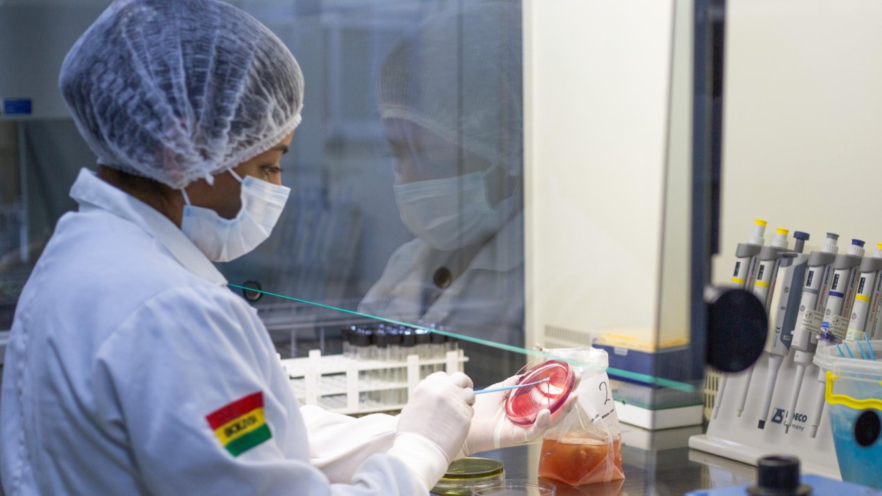 FAO Advances AMR Monitoring in Latin America, Caribbean