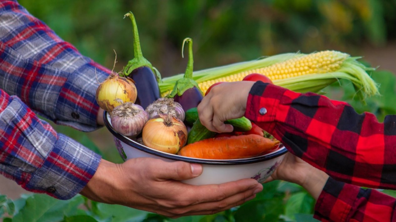 INIFAP Marks 40 Years Advancing Food Sovereignty