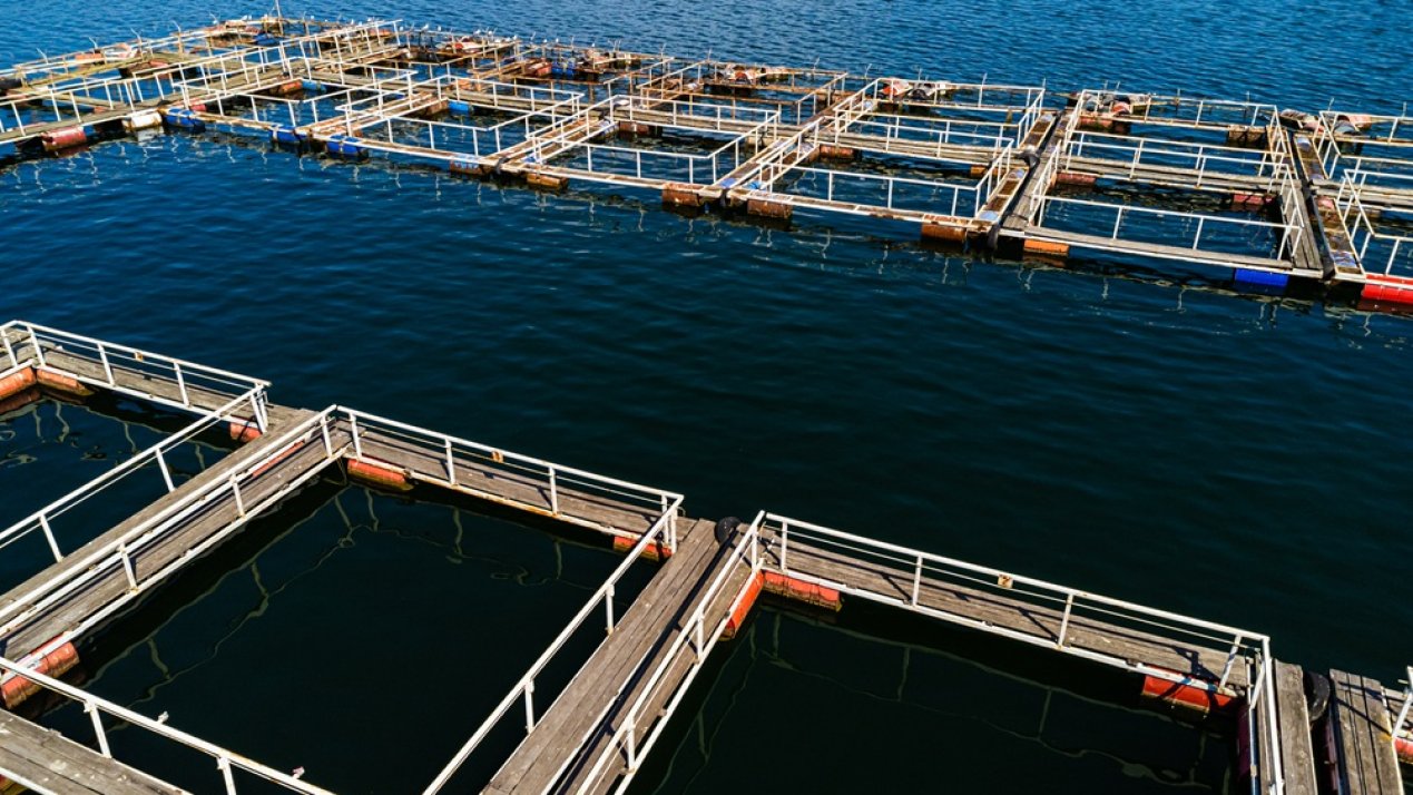 Mexico Trains 1,425 Aquaculture Producers Across 13 States